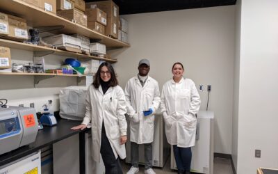 New cell culture room!