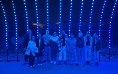 Lab outing to Zoo Lights