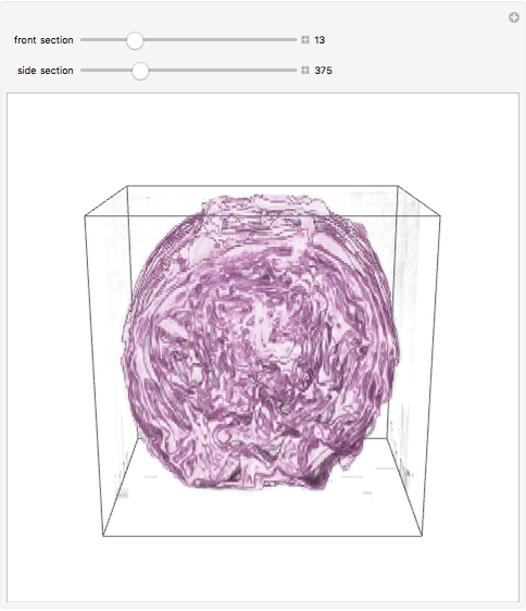 Destructive Tomography of Red Cabbage still image