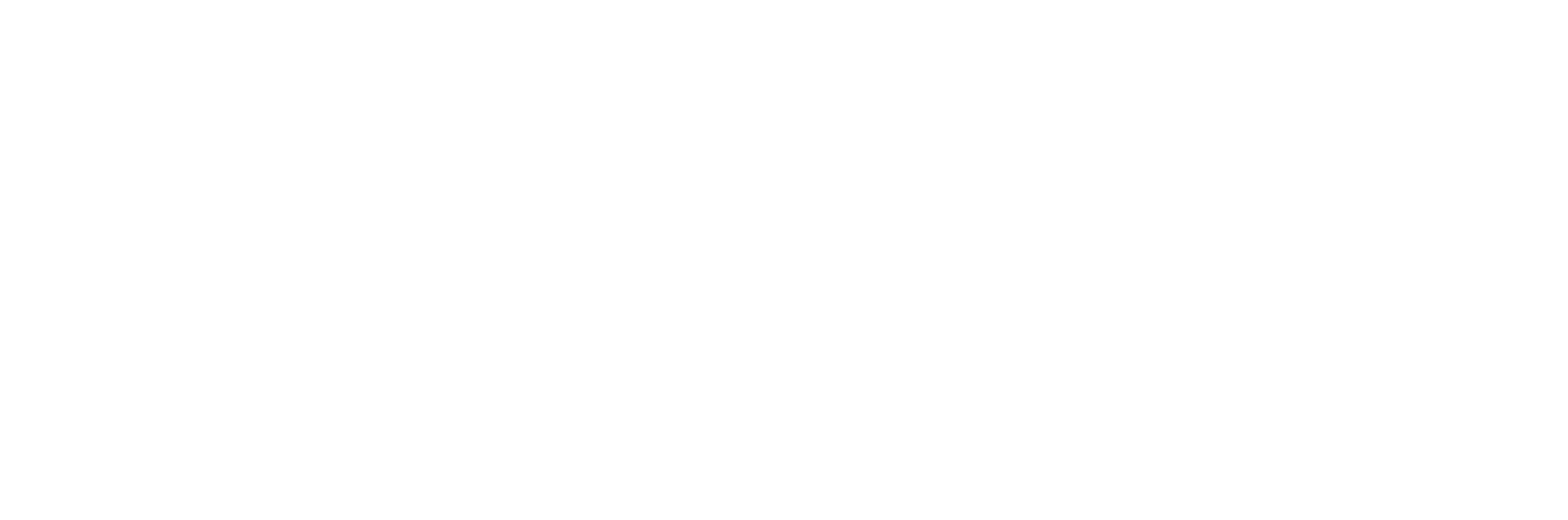Wu Lab Logo