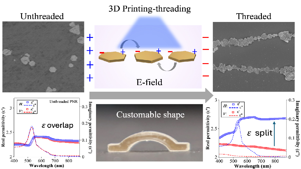 Publications - Yang Lab